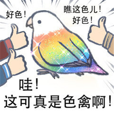 好笑色禽鸟表情包