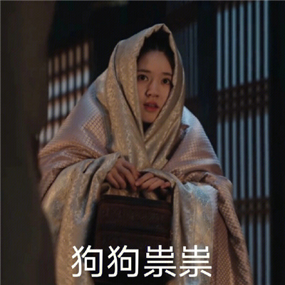 最火表情包合集