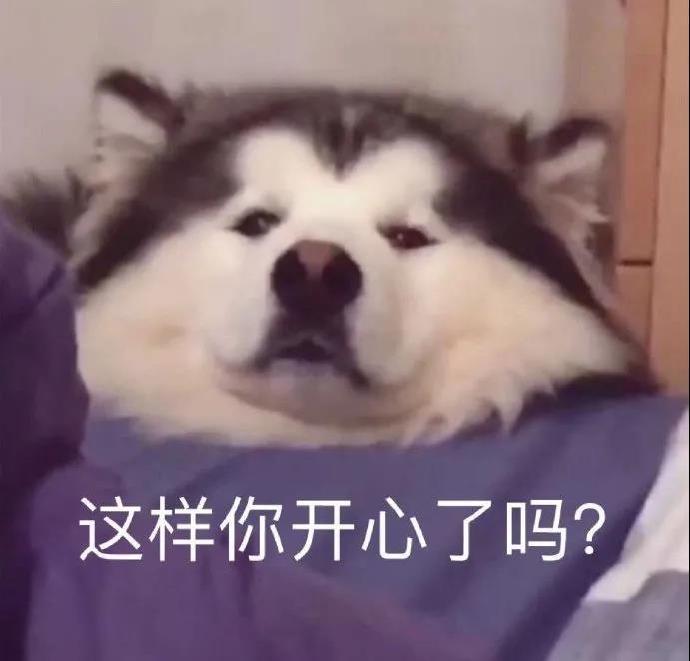 最新沙雕搞笑斗图微信表情包