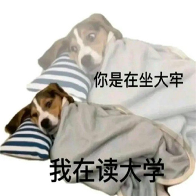 很好玩的双面人表情包