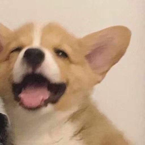 可爱搞怪微信头像