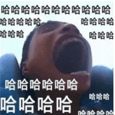 超开心的哈哈哈哈斗图微信表情包