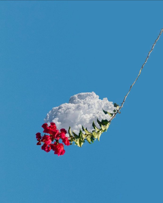 超美的景色遐想微信头像