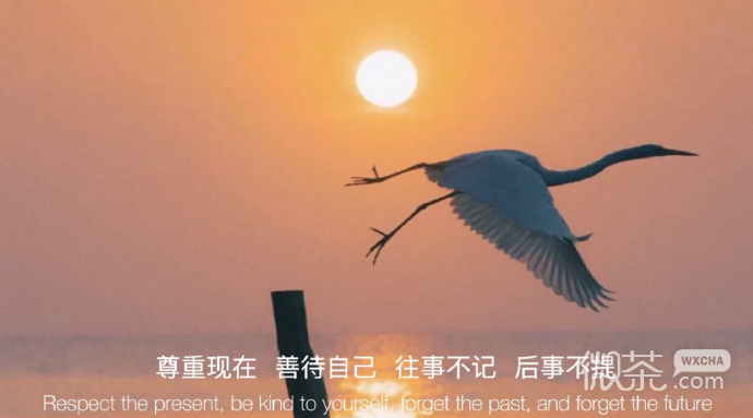 非常有道理且唯美的朋友圈配图