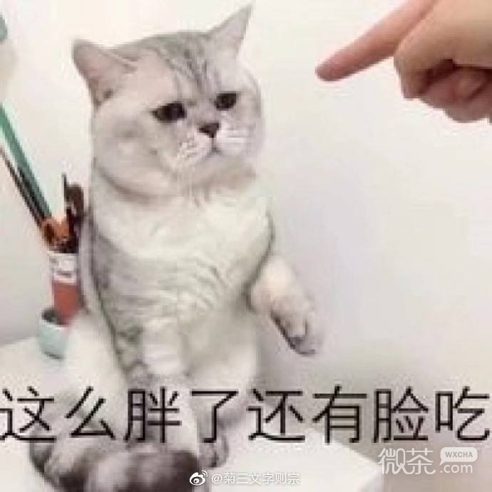 可爱呆萌怼人文字微信表情包