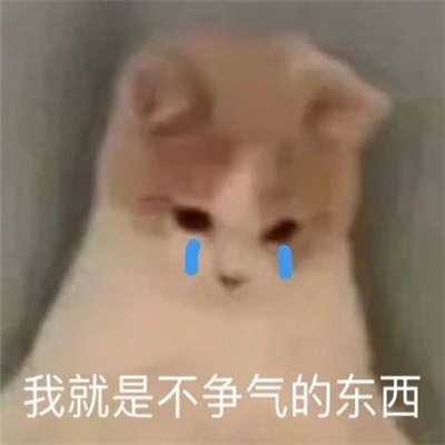 使用频率很高的表情