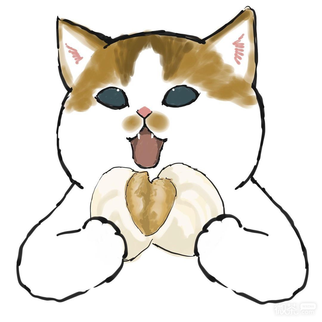 猫猫干饭微信头像