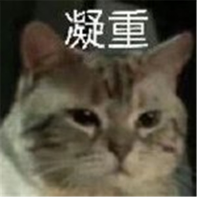 可爱卖萌的萌宠微信表情包