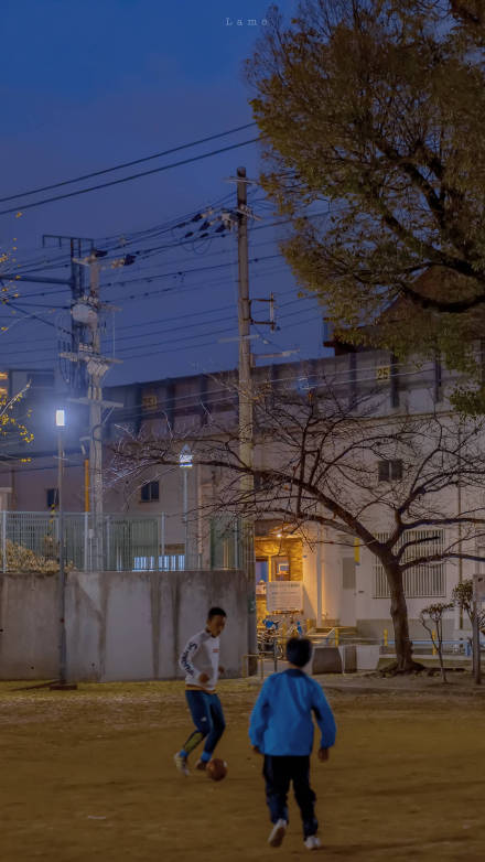 傍晚的风景素材图片