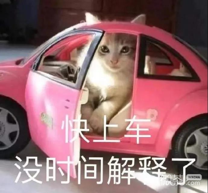 斗图聊天可用的微信表情包