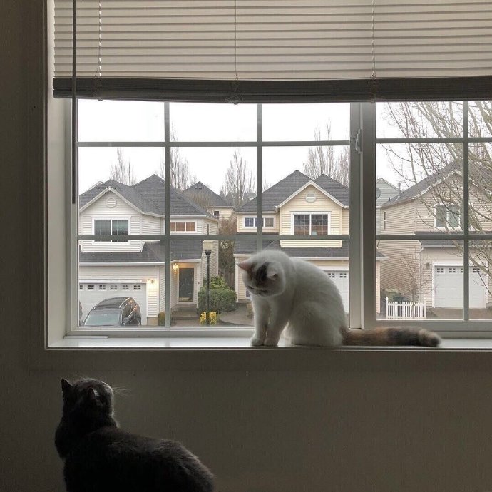 文艺淡雅梦幻的微信朋友圈背景图