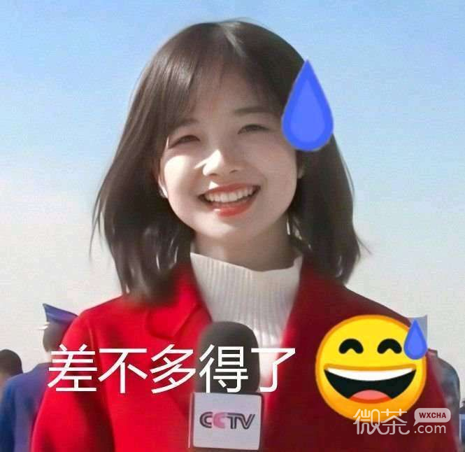 可爱主持人王冰冰微信表情包