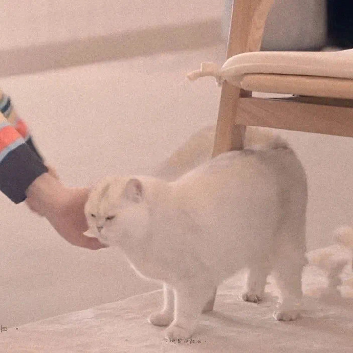 好看有趣的情侣微信头像 ​ ​​​ ​​​​