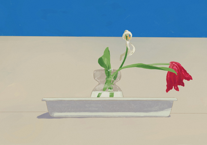 ipad桌面锁屏壁纸微信素材图片