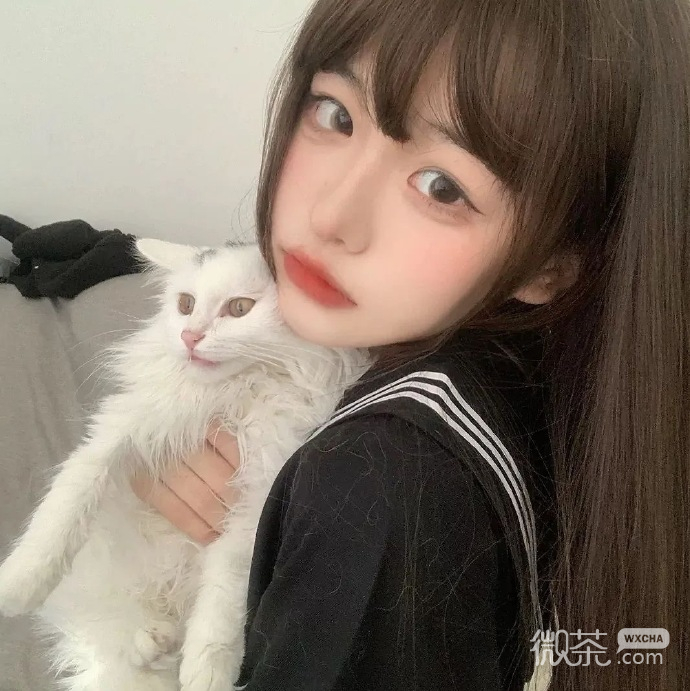 真人美女抱喵星人微信头像