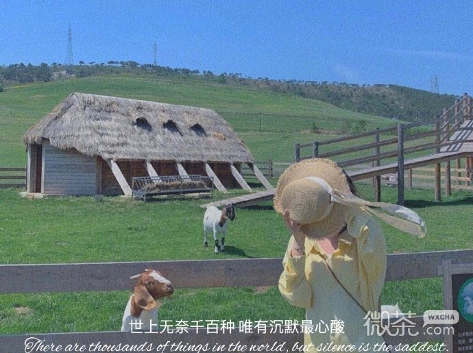 唯美清新的好看的微信朋友圈背景图