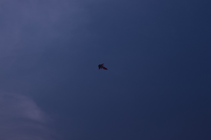 关于蓝色微信朋友圈配图