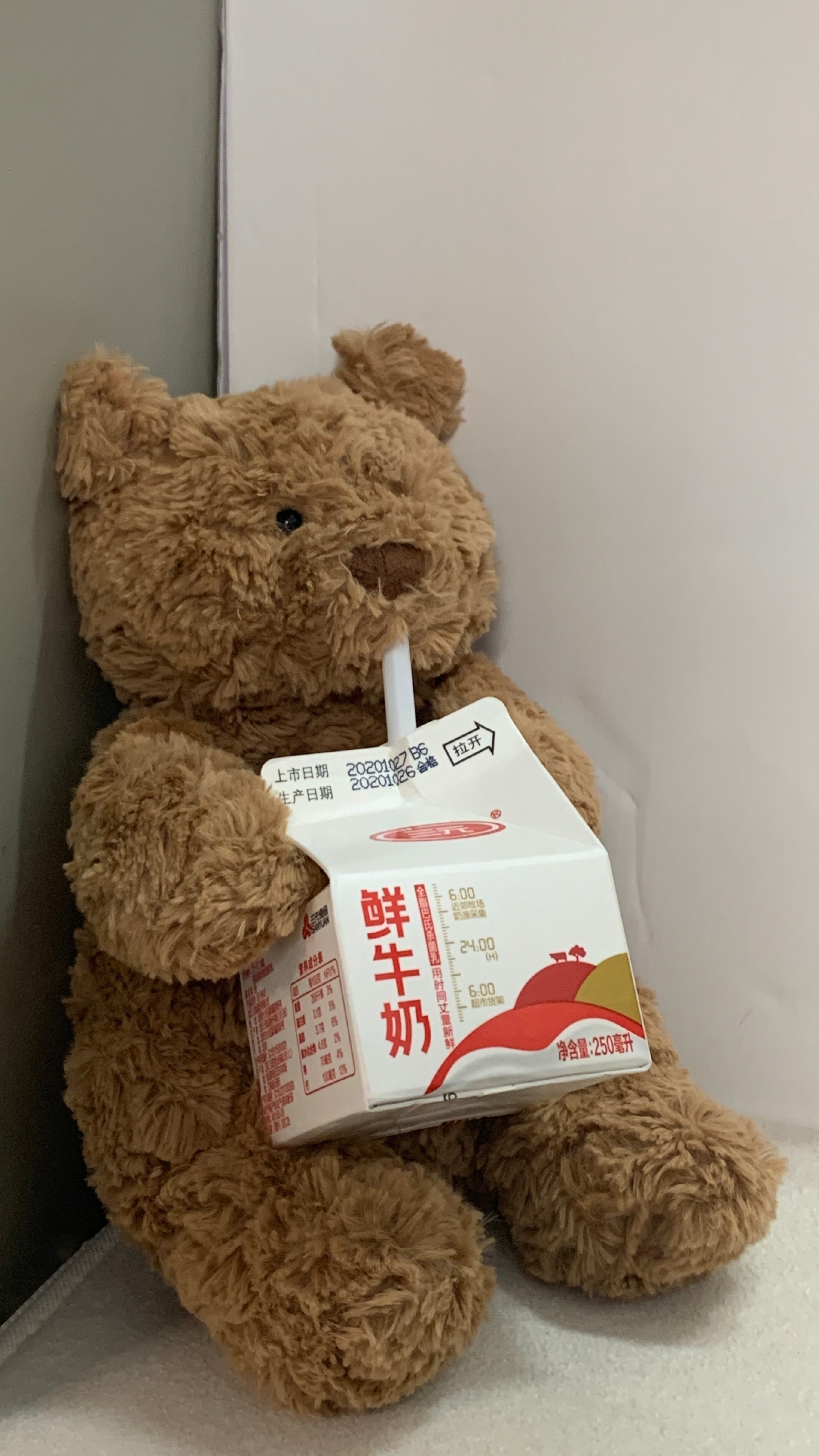 巴塞罗熊可爱微信头像