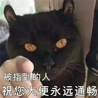 聊天很实用的微信表情