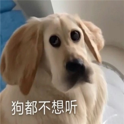 值得私藏的很好笑的表情