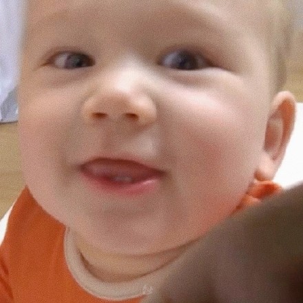 Zen全仔可爱微信头像