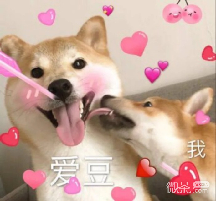 又沙雕又可爱的聊天微信表情包