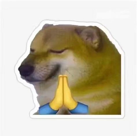 沙雕笑裂了狗头微信表情包