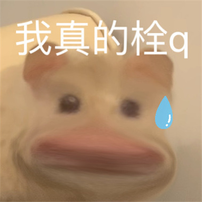 2022全网都很火沙雕表情包