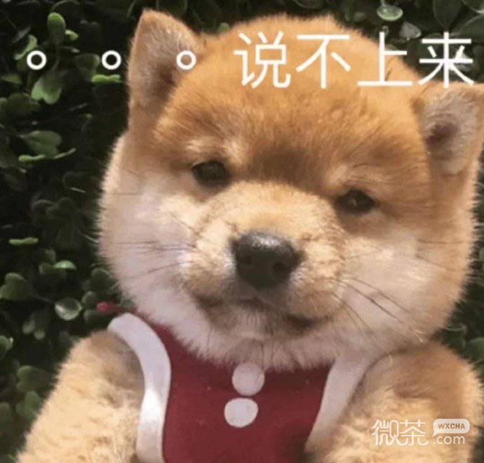 萌娃撒娇委屈动态微信表情包