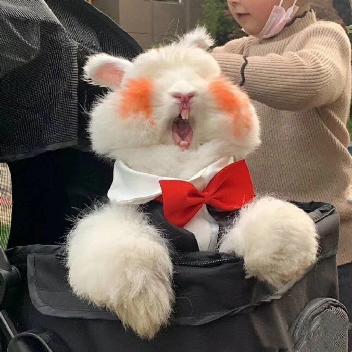 可爱好看的个性微信头像