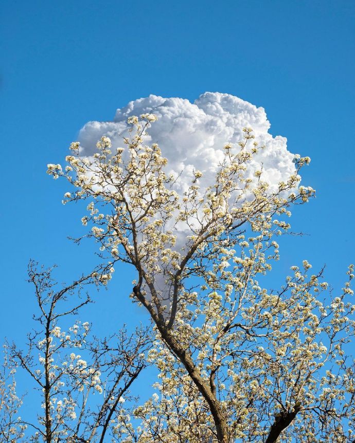 超美的景色遐想微信头像