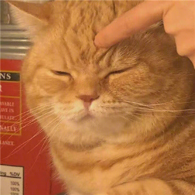 拥有好运的搞怪沙雕头像