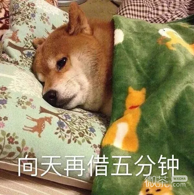 不想起床搞笑微信表情包