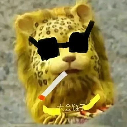 最近很火的金钱豹微信头像
