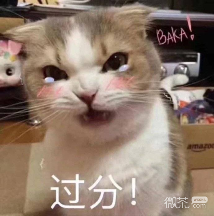 沙雕可爱聊天微信表情包