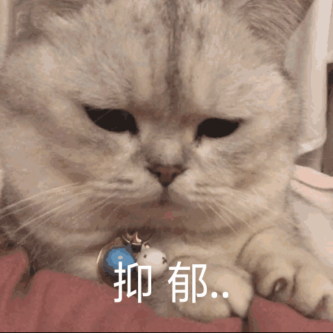 沙雕动态小猫猫微信表情包