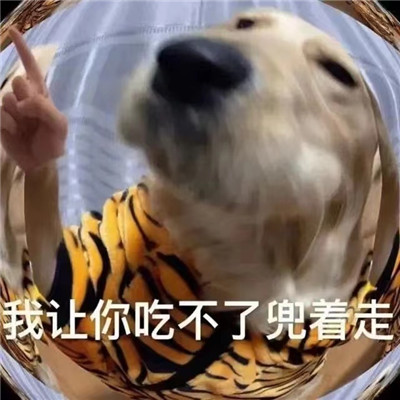 大冤种表情包合集