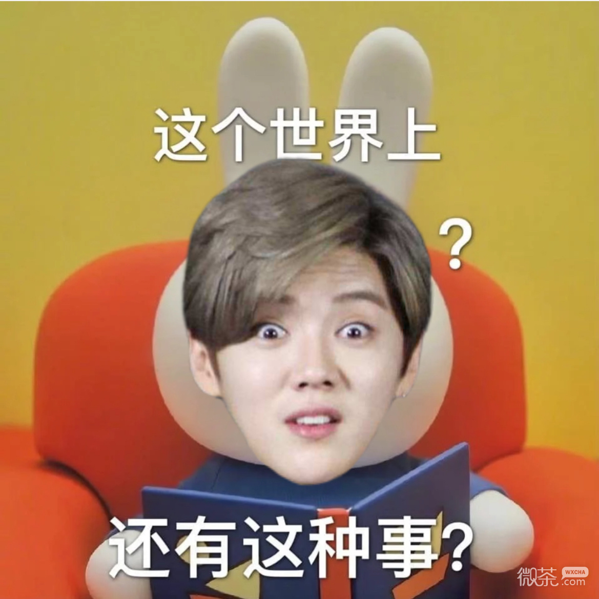 鹿晗脸的米菲兔可爱微信表情包