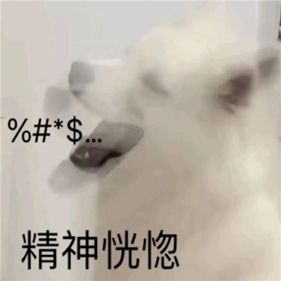 聊天很实用的微信表情