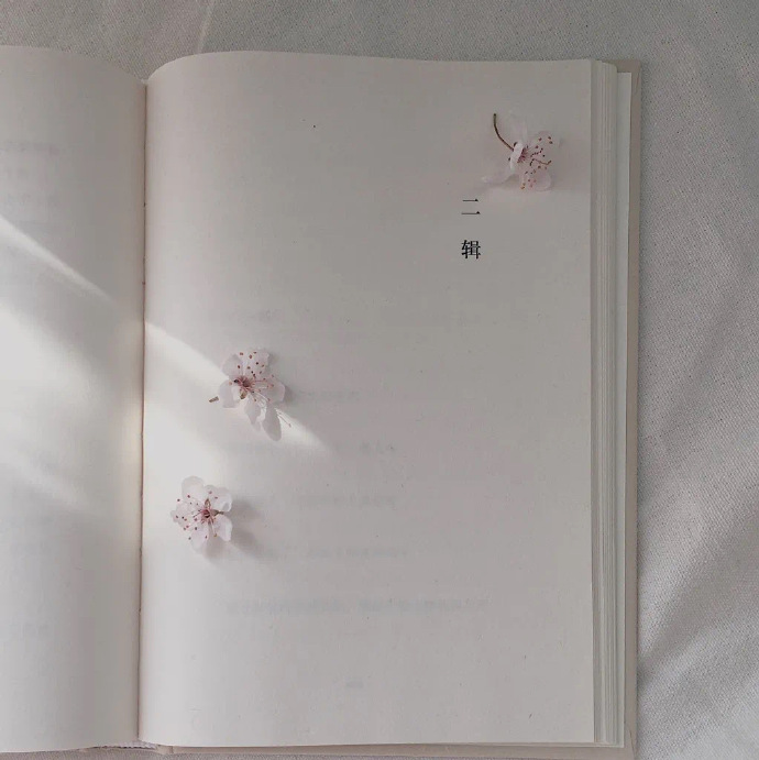 特别清新更好笑的微信朋友圈背景图