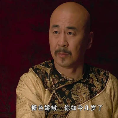 好笑的甄嬛传表情包