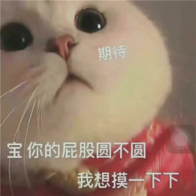 热门搞笑沙雕表情包