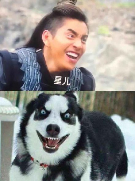 王大陆撞脸表情包搞笑微信表情包