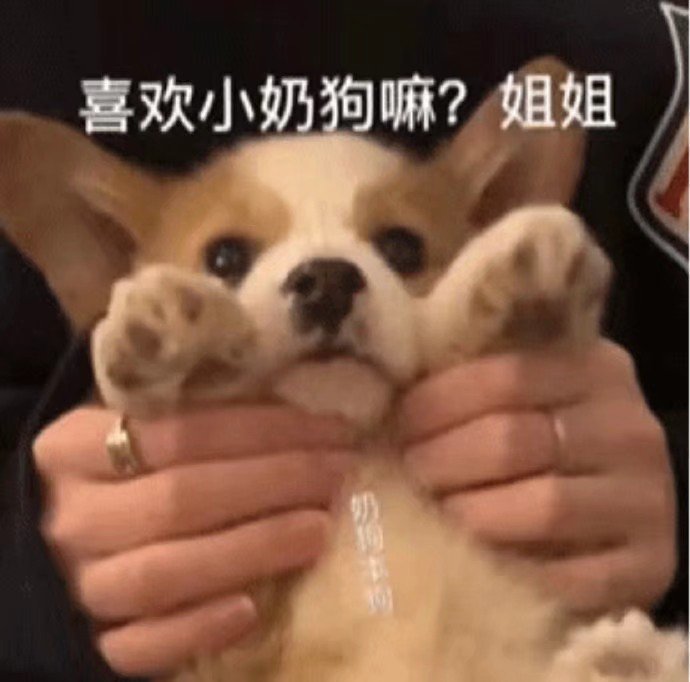 沙雕搞笑好玩斗图微信表情包