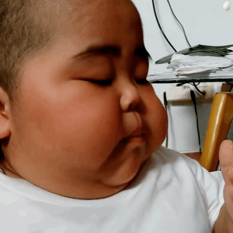 肉嘟嘟的tatan吃面包微信表情包