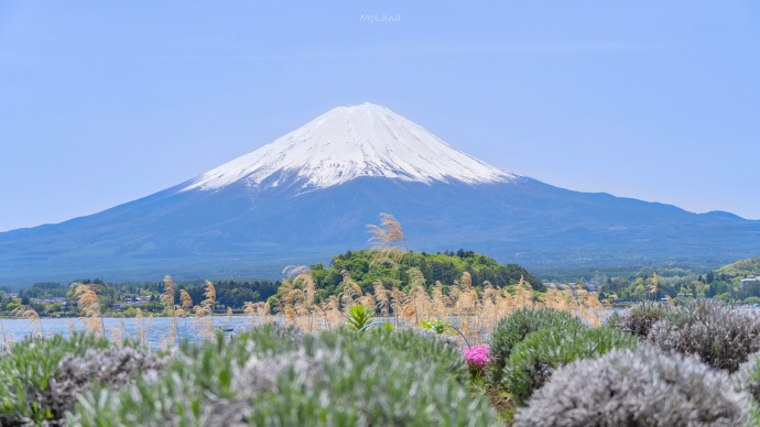 富士山的初夏微信素材图片