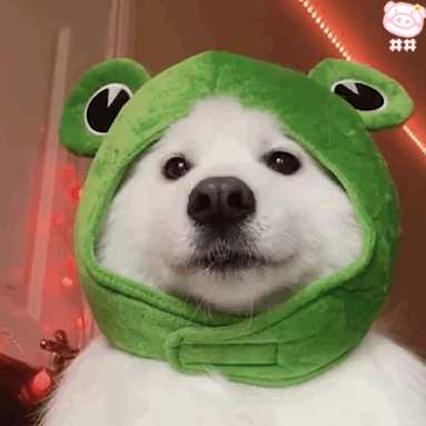 超有趣味很丰富的微信动态表情