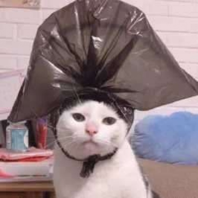 最新版爆笑沙雕个性微信头像