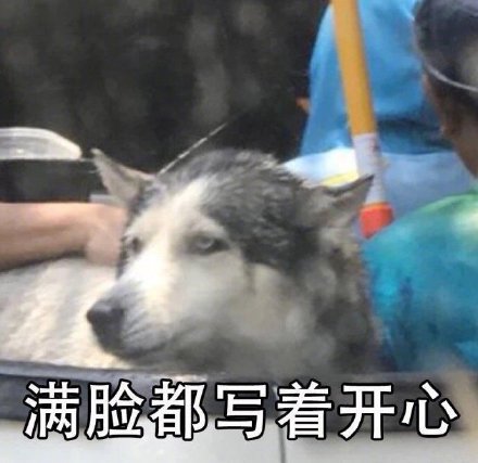 周五的心情微信表情包