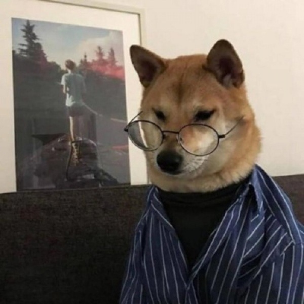 沙雕奇怪可爱个性微信头像